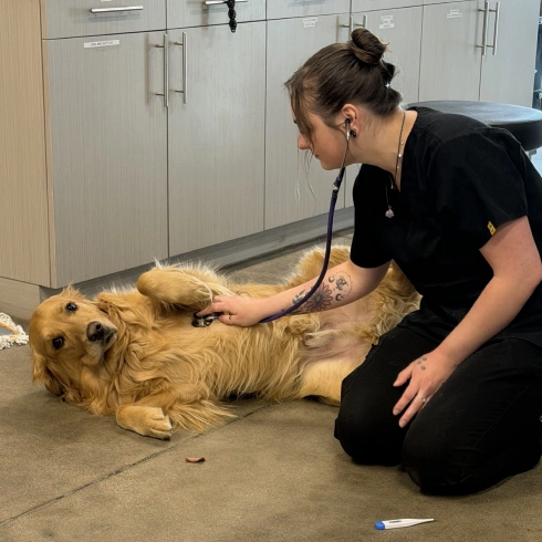 Monitoring Progress and Adjusting Care