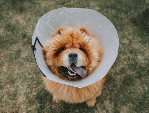 Why Timely Surgical Care Matters